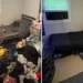 deeply satisfying cleaning photos