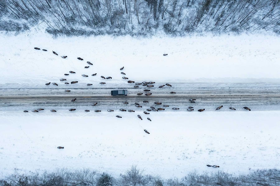 2023 Nature inFocus Photography Awards