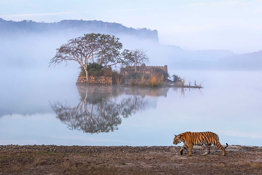 2023 Nature inFocus Photography Awards