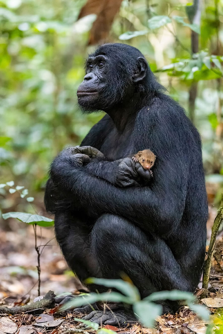 2023 Nature inFocus Photography Awards