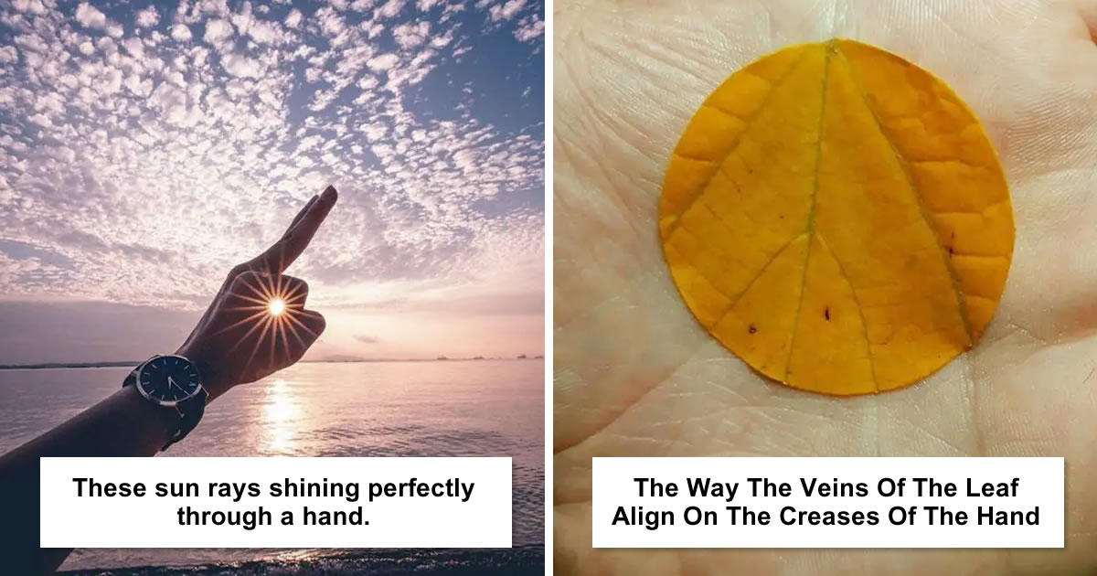 25 Incredibly Satisfying Photos That Will Delight Your Inner Perfectionist