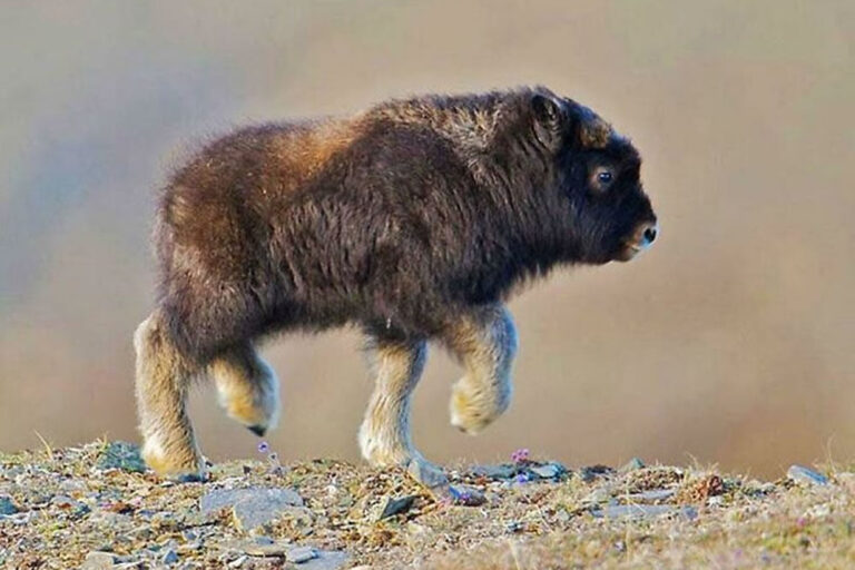 30 Astonishing Nature Photos That Showcase Its Breathtaking Beauty