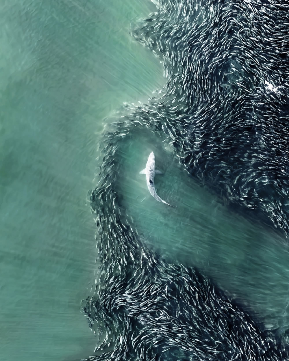 Drone Photography Awards 2023 Winners