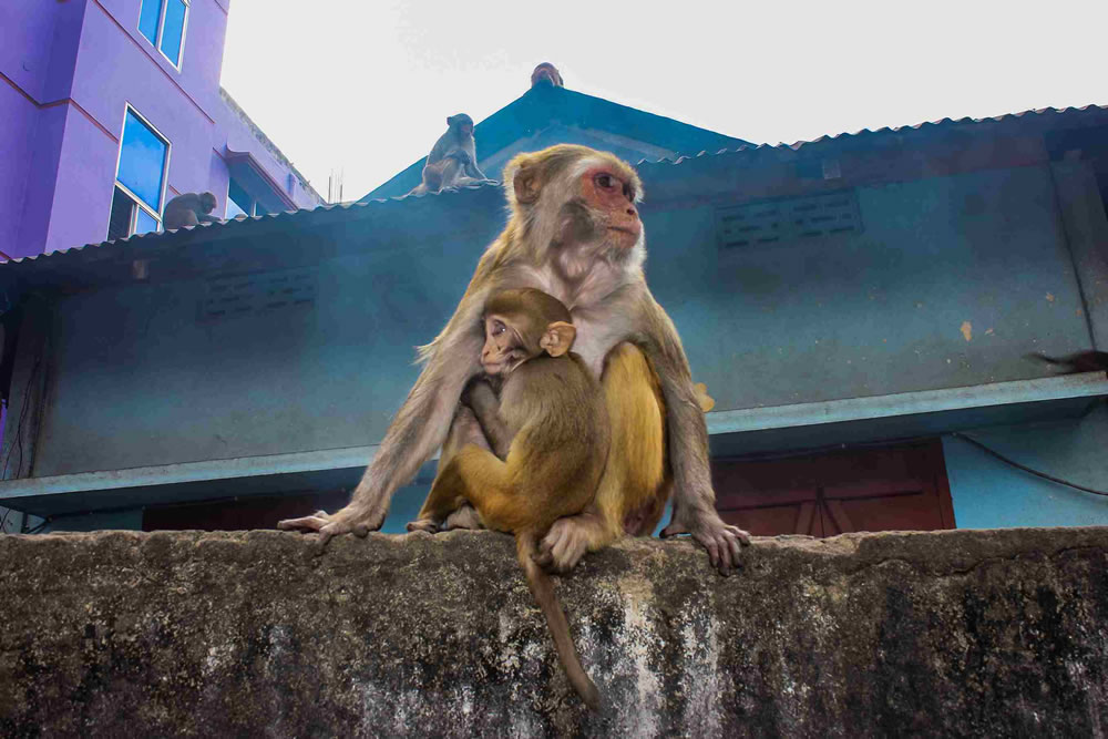 Bangladeshi Street Photographer Showrav Chowdhury