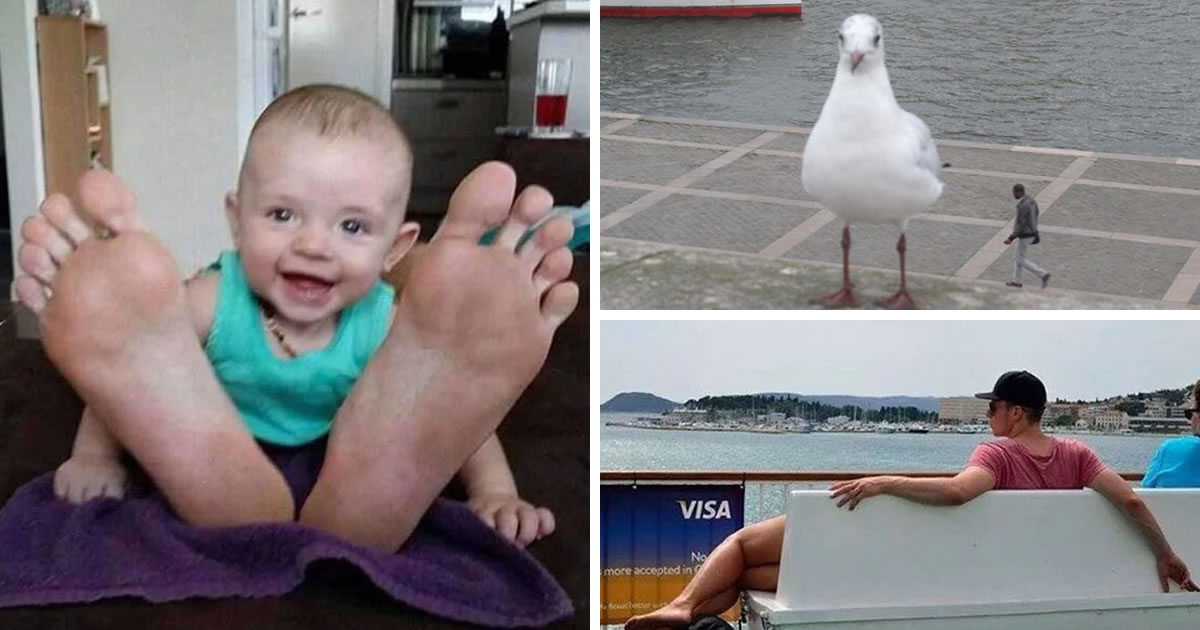 25 Tricky And Confused Photos That Will Make You Look Twice