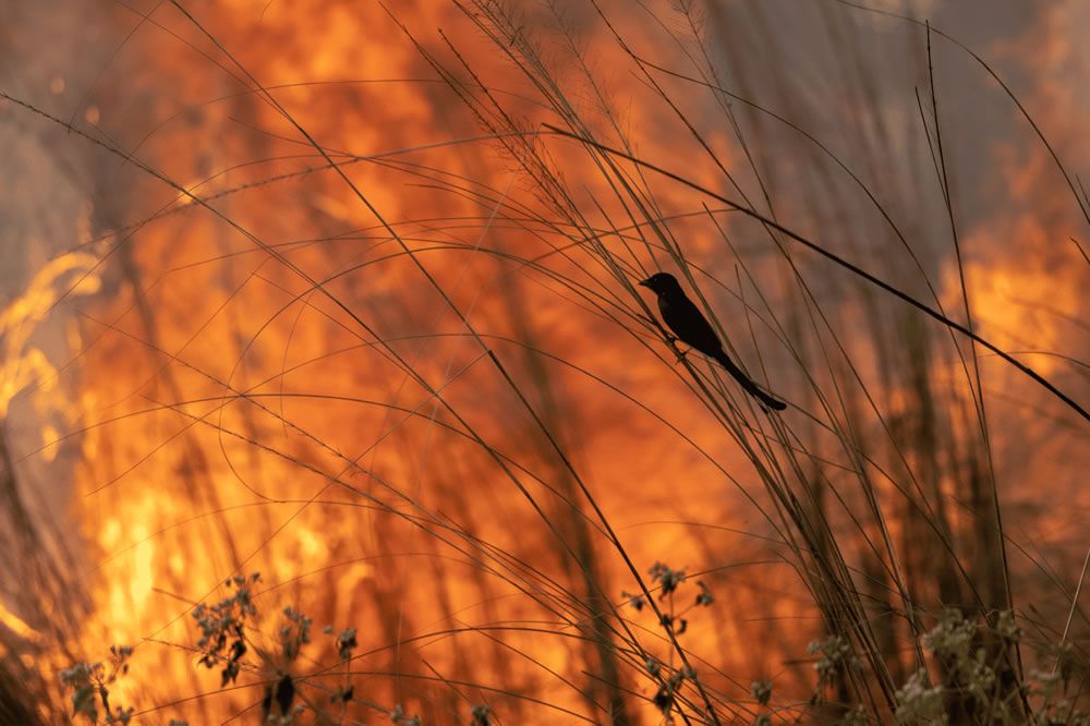 Finalists Of Weather Photographer Of The Year Contest