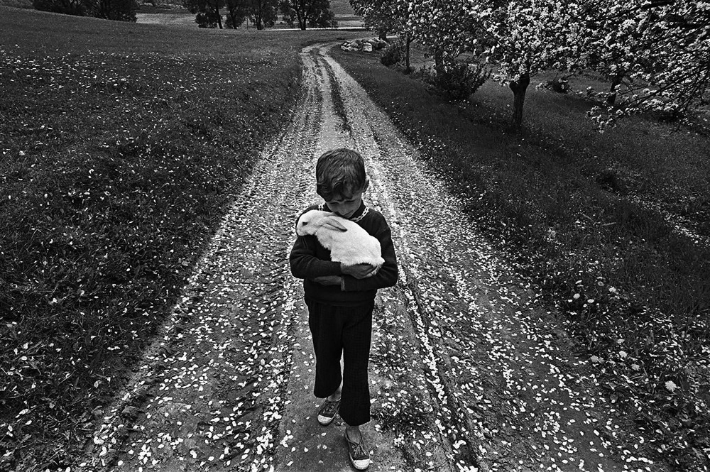 30 Most Inspiring Photos From “Analogue Photography” Facebook Page