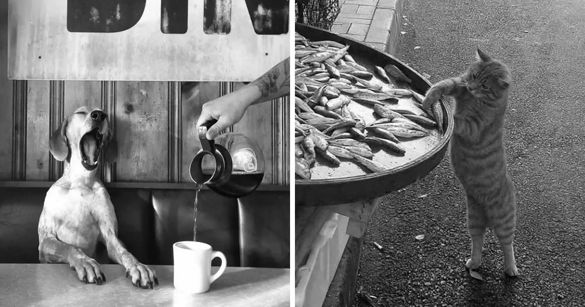 30 Stunning Photos Taken On The Streets, As Shared By This Instagram Account