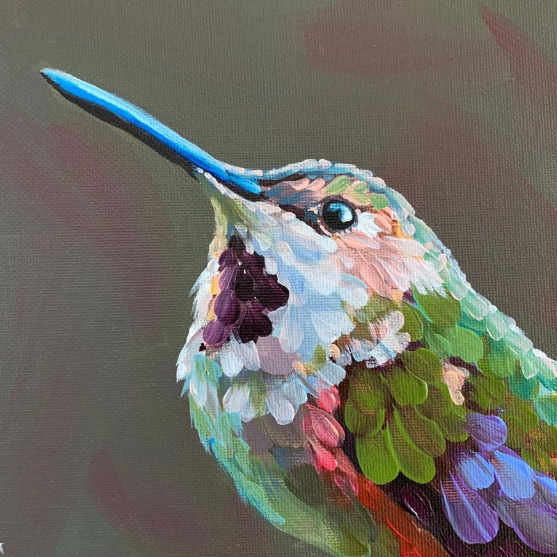 Gorgeous Bird Portrait Paintings by Rachel Altschuler