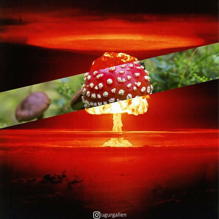 Digital Artist U ur Gallenku Creates Eye Opening Collages That Show Digital Artist U ur Gallenku Creates Eye Opening Collages That Show