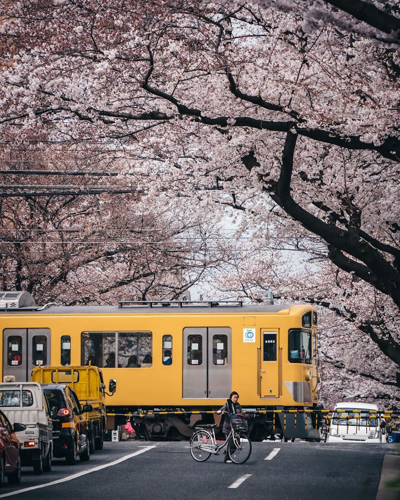 Beautiful Photos Of Everyday Life By Ryosuke Kosuge