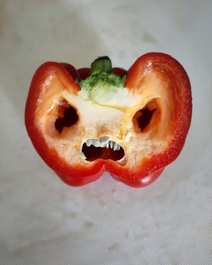 Photographer Boris Blanchoz Captured Funny Faces In Everyday Objects
