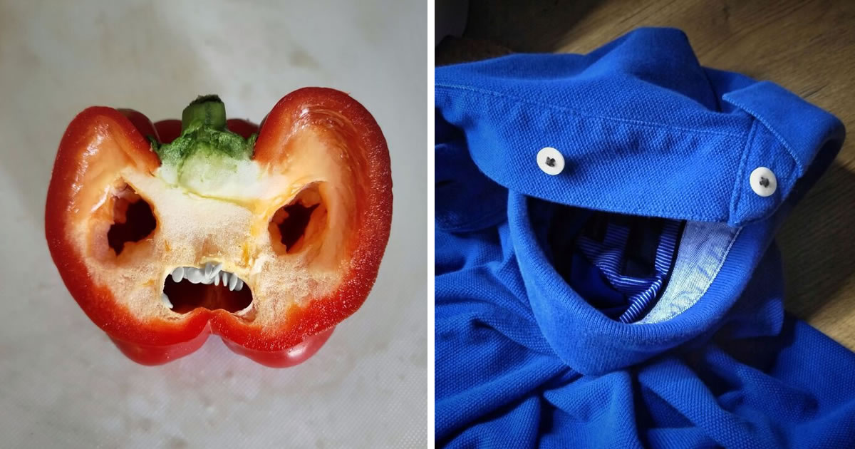 Photographer Boris Blanchoz Captured Funny Faces In Everyday Objects