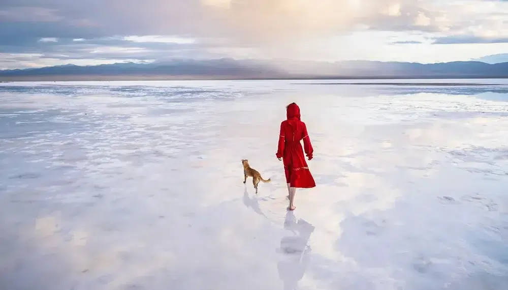 international photography awards winners 25