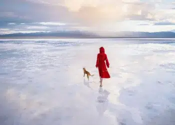 international photography awards winners 25