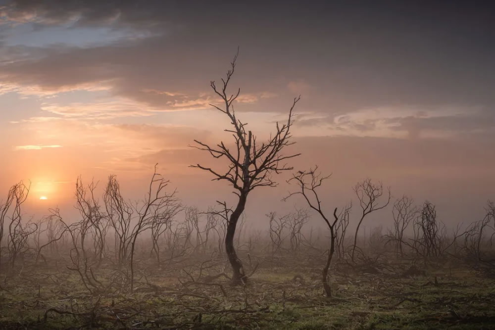 25 Amazing Winning Photos Of The UK Landscape Photographer Of The Year 2023
