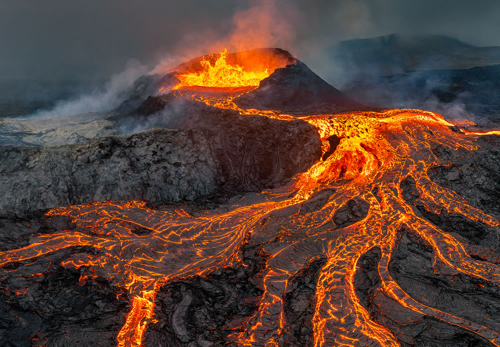 Nature Best Photography Awards 2023 Winners