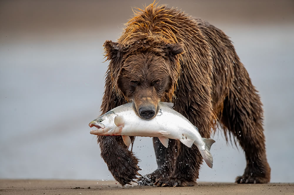 Nature Best Photography Awards 2023 Winners