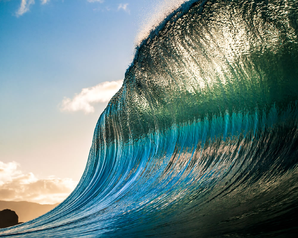 Nature Best Photography Awards Winners 10 