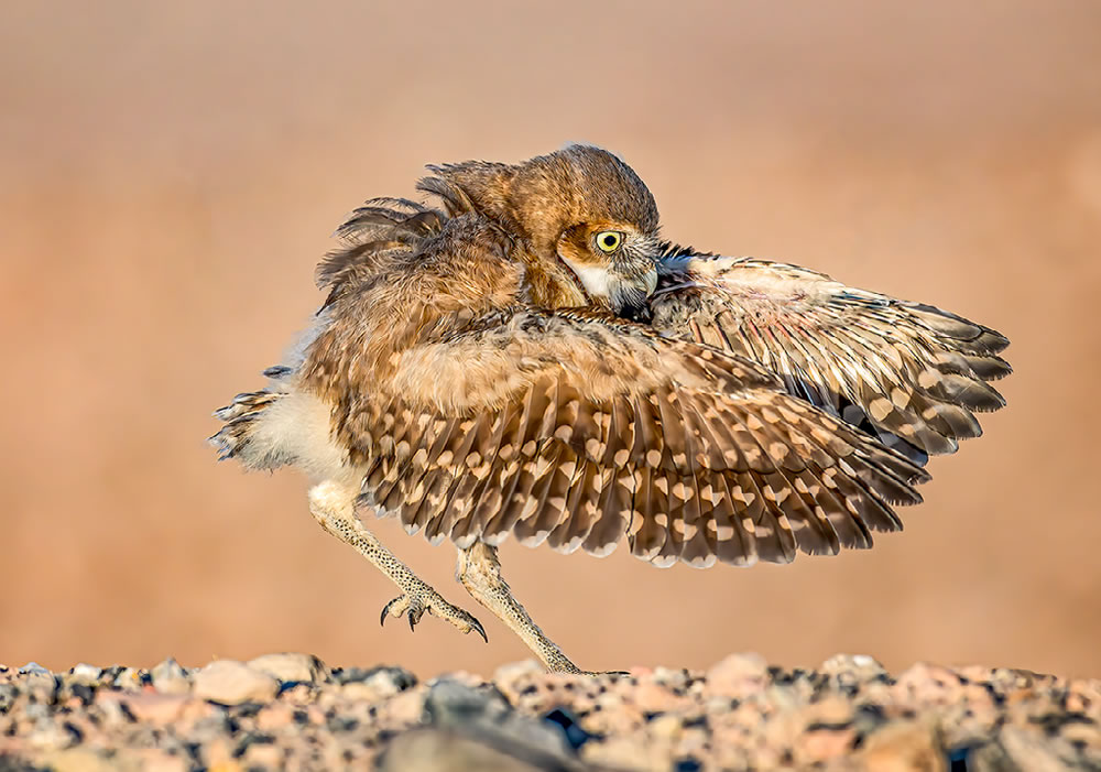 Nature Best Photography Awards 2023 Winners