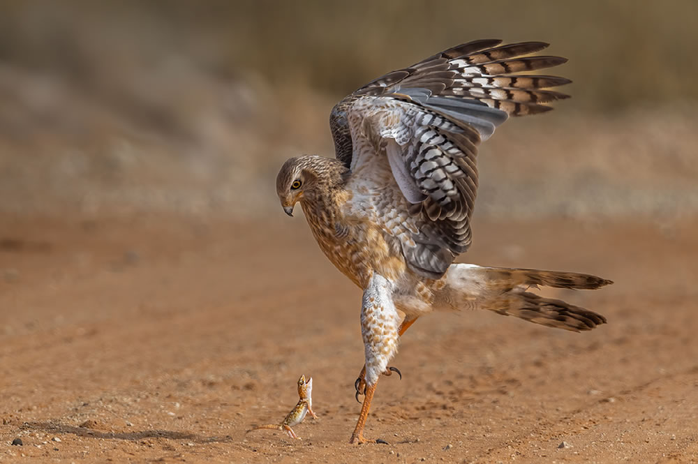 Nature Best Photography Awards 2023 Winners