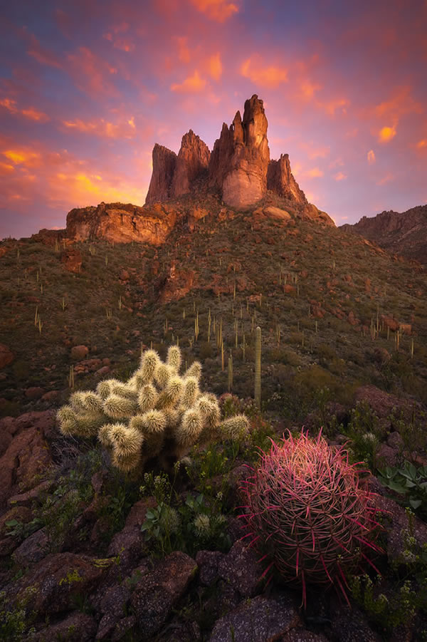 Nature Best Photography Awards 2023 Winners