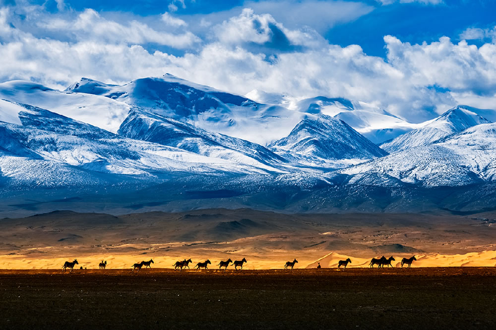 Nature Best Photography Awards 2023 Winners