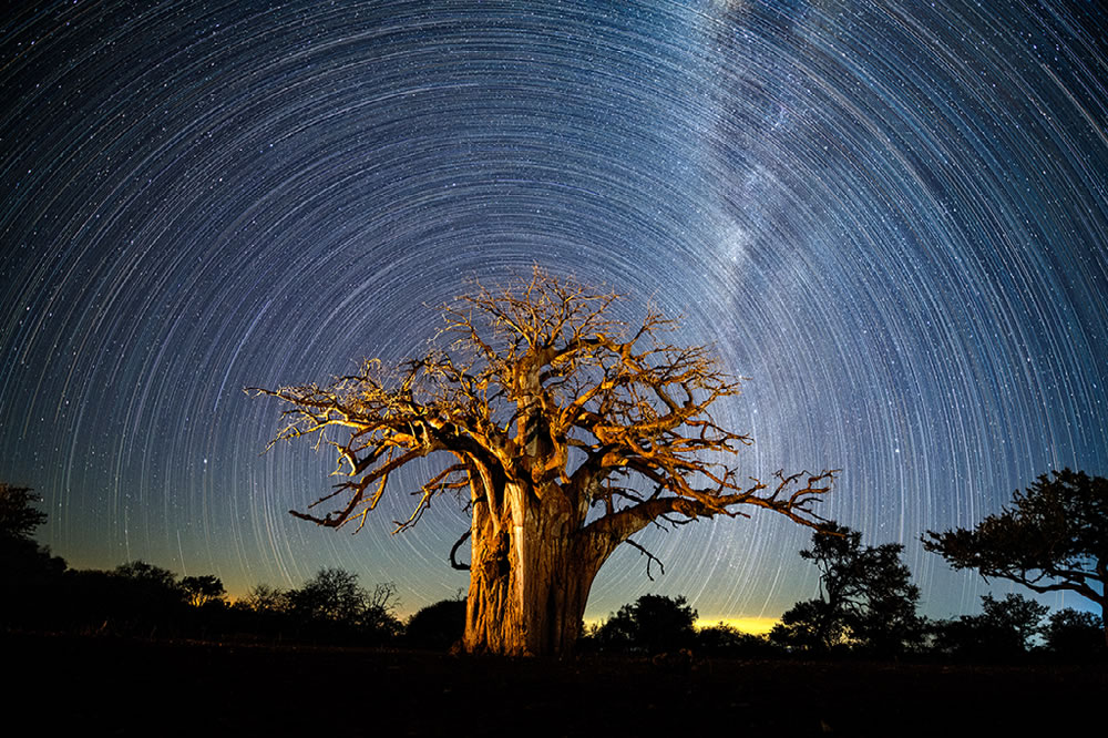 Nature Best Photography Awards 2023 Winners