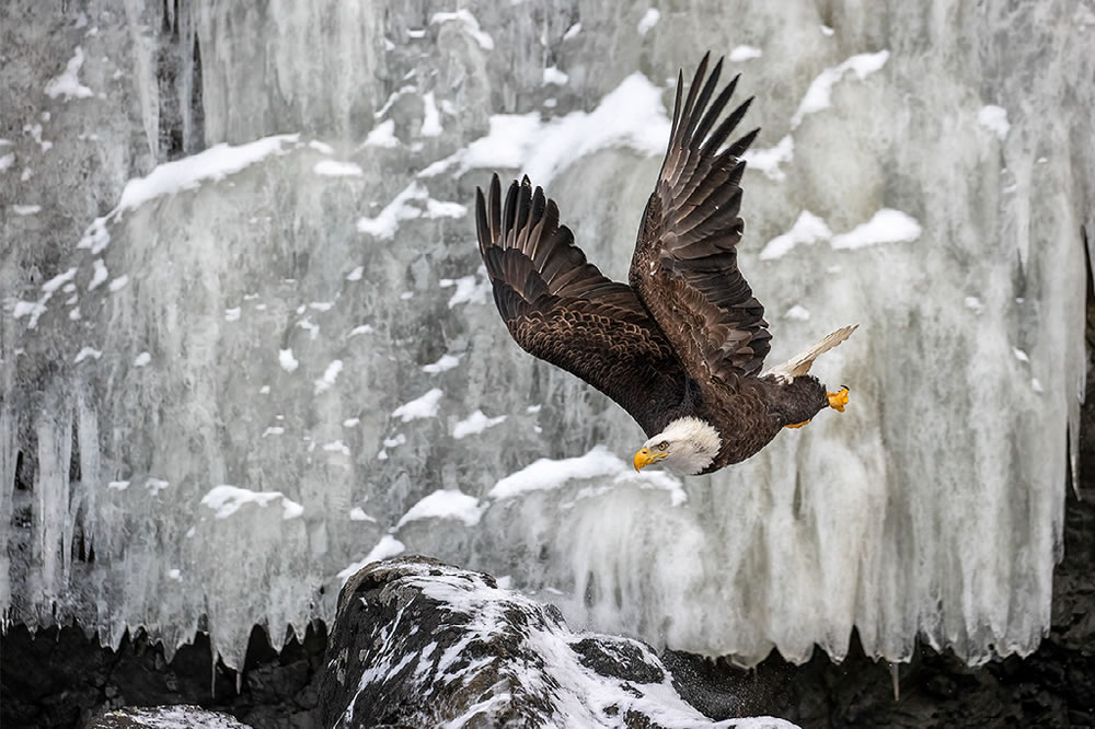 Nature Best Photography Awards 2023 Winners