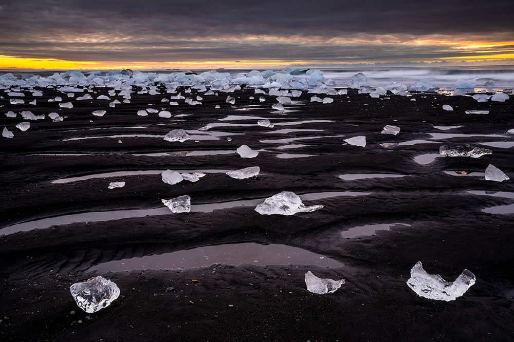 Nature Best Photography Awards 2023 Winners