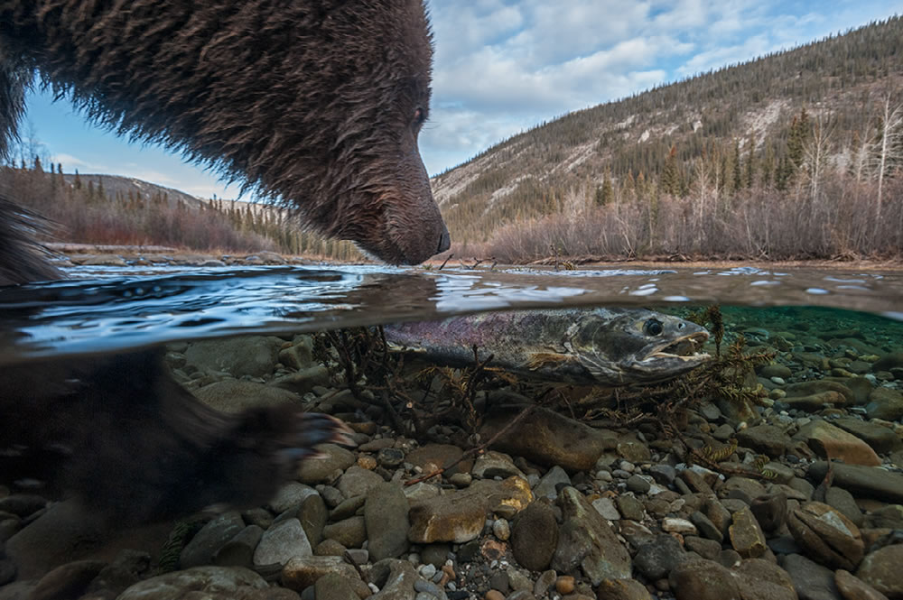 Nature Best Photography Awards 2023 Winners