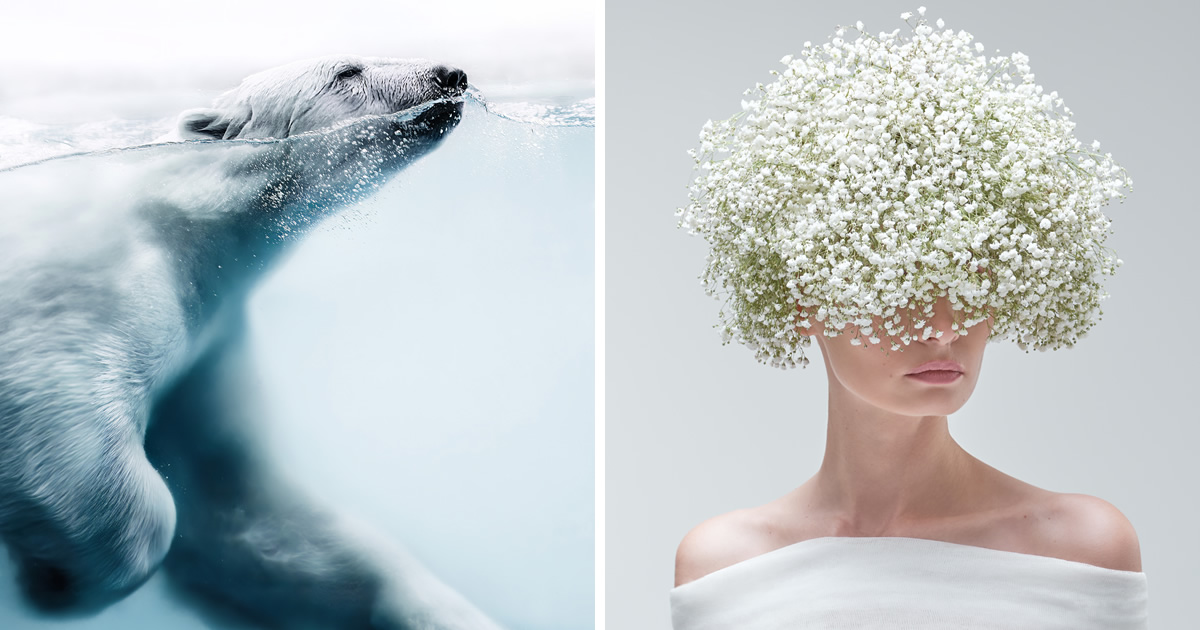 35 Outstanding Winning Photos Of The Prix De La Photographie Awards 2023