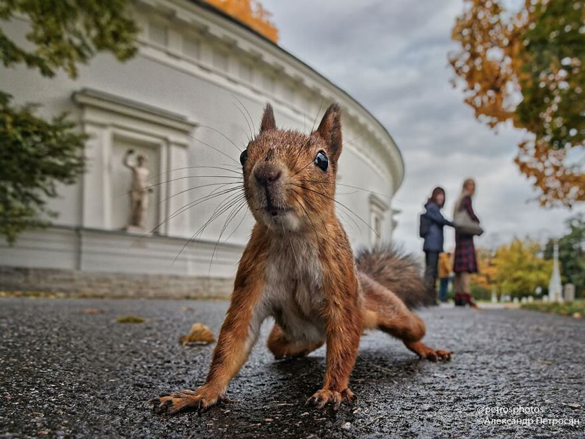 Russian Daily Life Street Photography By Alexander Petrosyan