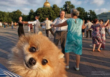 Russian Daily Life Street Photography By Alexander Petrosyan