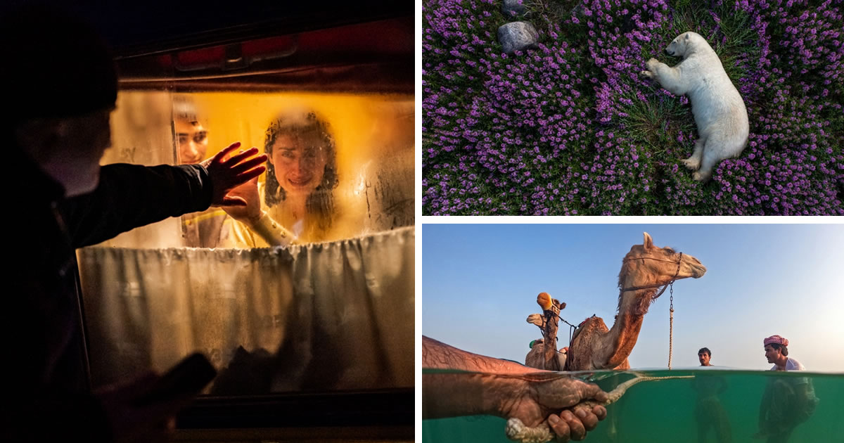 40 Outstanding Winning Photos Of The Siena International Photo Awards 2023