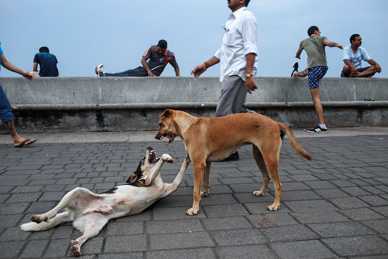 Ironic Everyday Moments On The Streets By Maciej Dakowicz