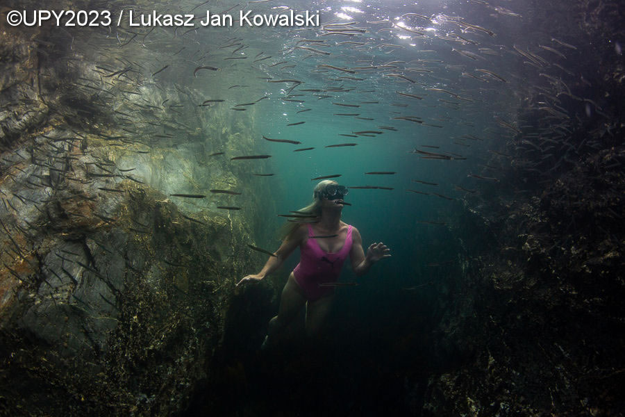 Underwater Photographer Of The Year 2023 Winners