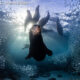 Underwater Photographer Of The Year 2023 Winners