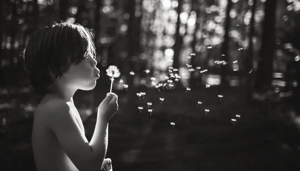 A child blowing dandelion seeds in a forest, black and white