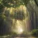 Sunbeams filtering through tall trees onto a misty forest path