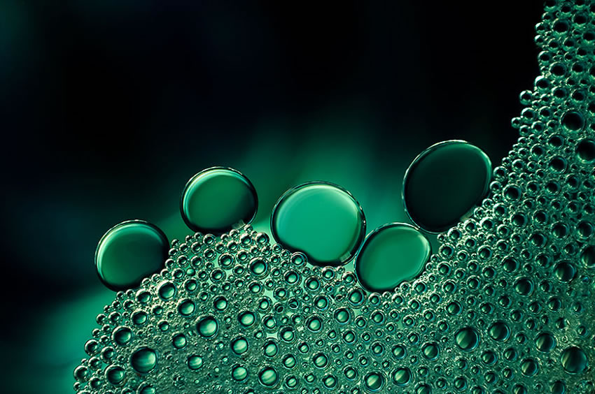 Beauty Of Droplets Captured With Macro Lens by Ivelina Blagoeva