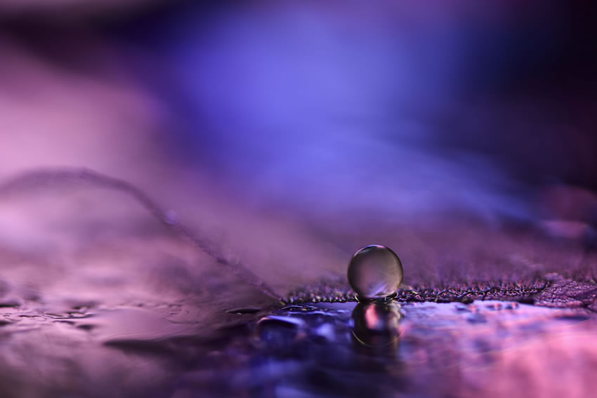 Beauty Of Droplets Captured With Macro Lens by Ivelina Blagoeva