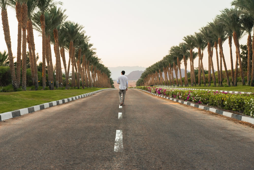 Al Shaheed Park - Best Natural Hotspot For Outings In Kuwait