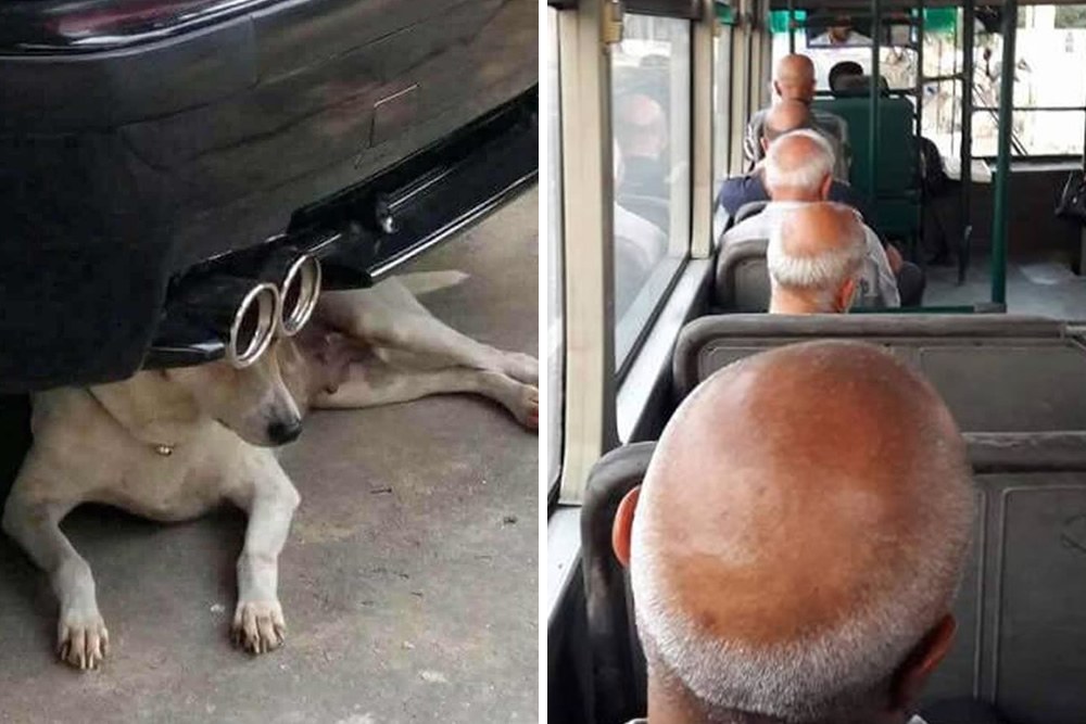 Coincidence Photos