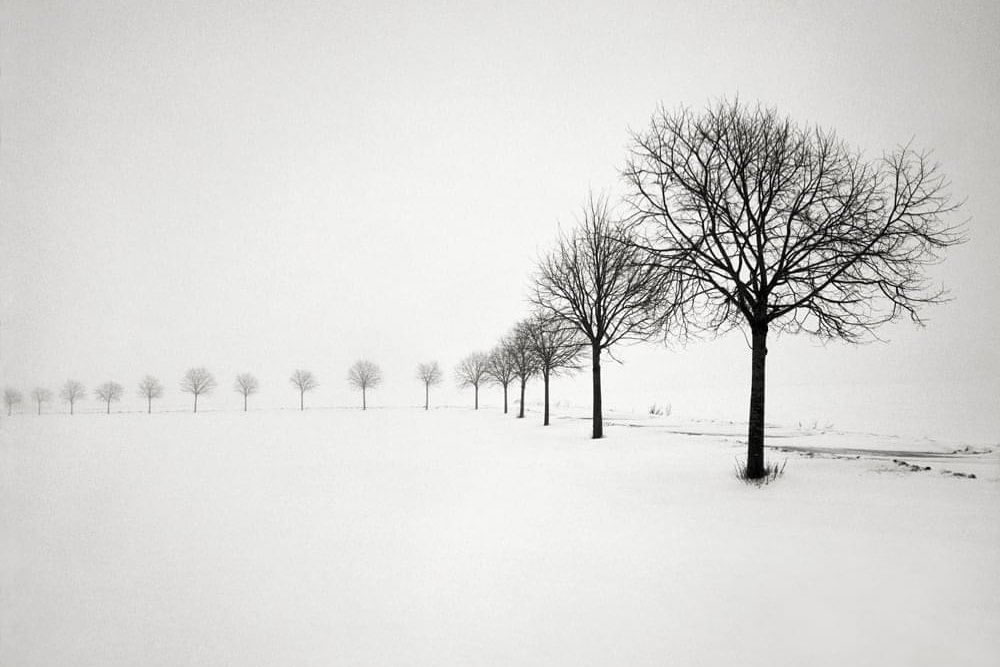 Black and White Photography