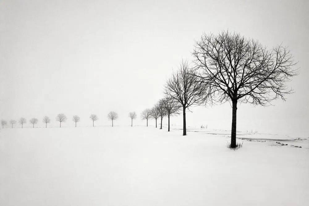 Black and White Photography