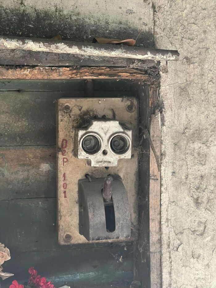 The Hidden Faces Around Us Everyday Pareidolia