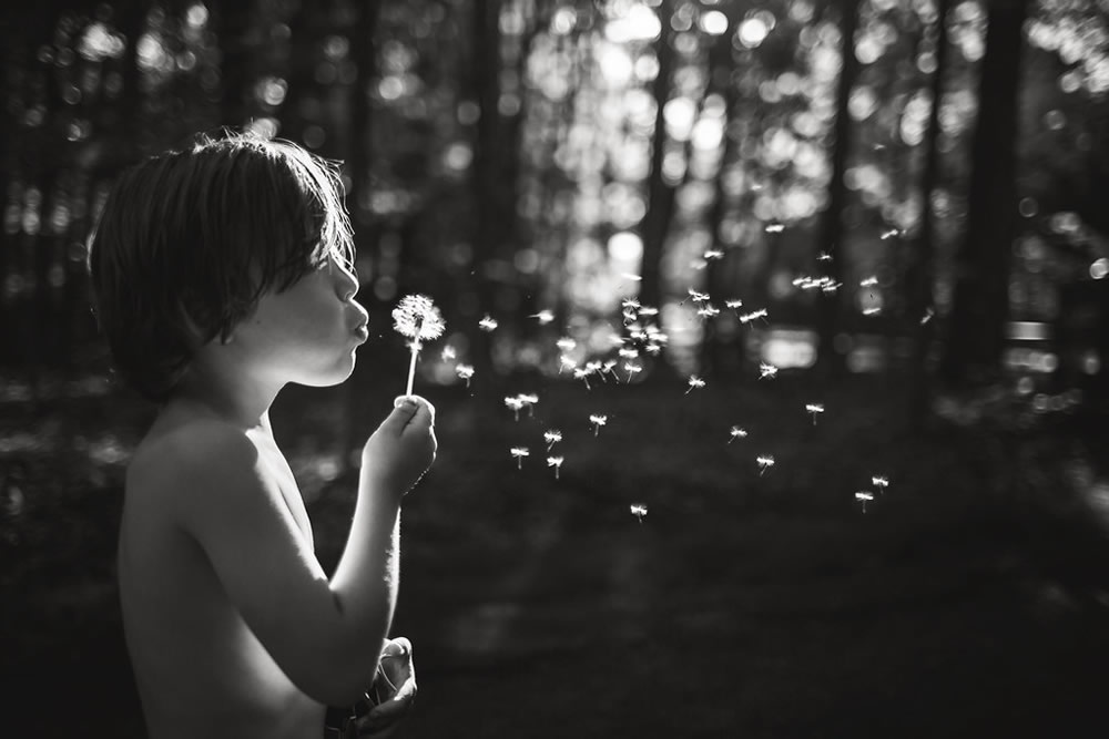 Allie Morrison Kids Portrait Photography