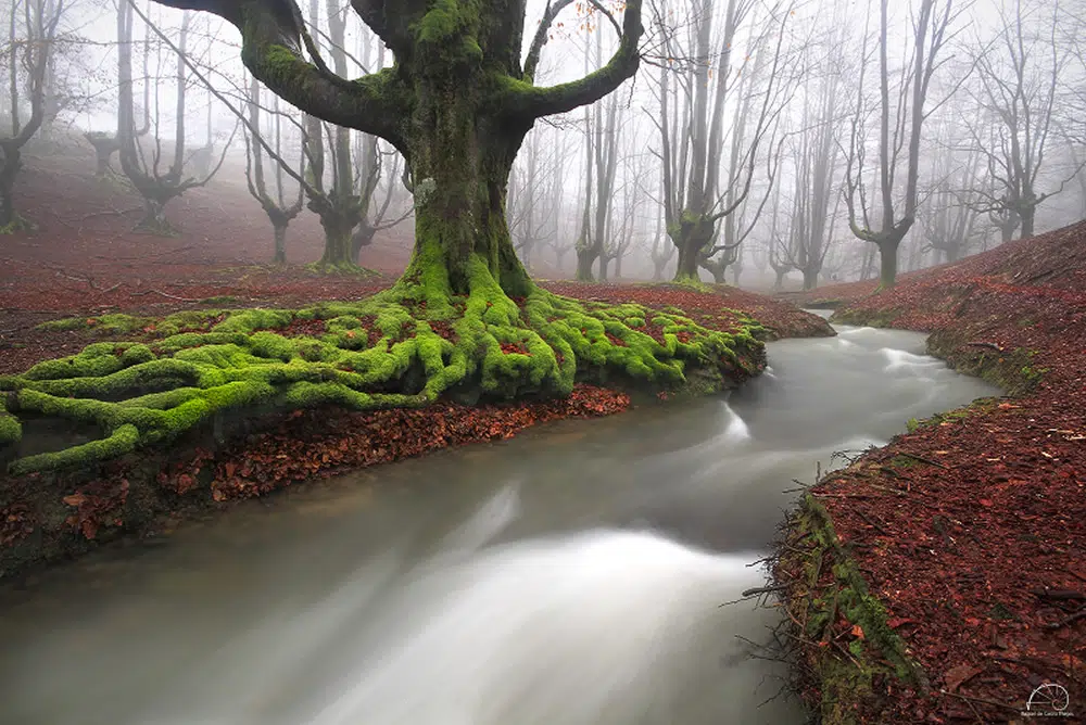 Landscape Photography