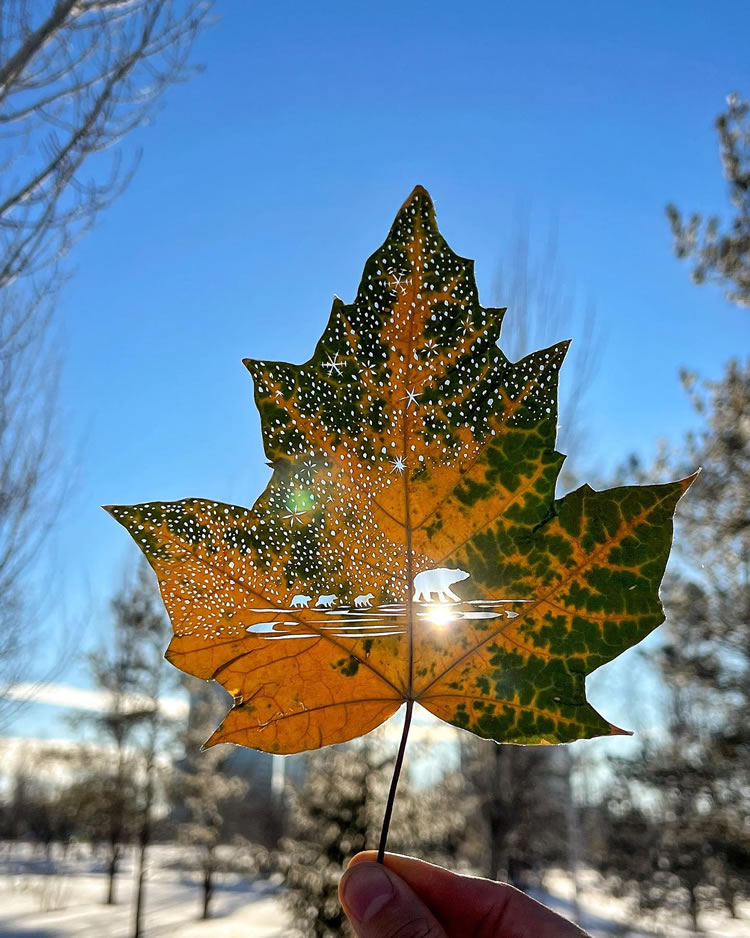 Leaf Cut Art by Kanat Nurtazin